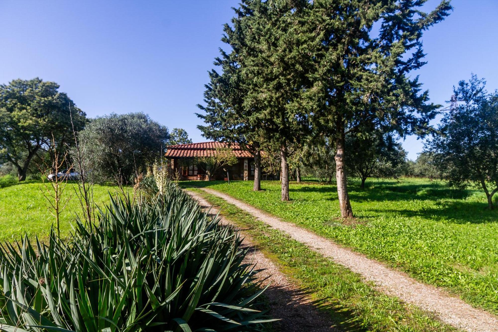 Agriturismo Bio Fattoria Casetta กาวอร์ราโน ภายนอก รูปภาพ